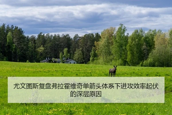 尤文图斯复盘弗拉霍维奇单箭头体系下进攻效率起伏的深层原因
